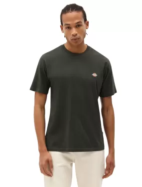 Dickies men's short sleeve t-shirt Mapleton DK0A4XDB olive green